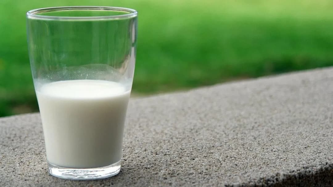 Vegane Buttermilch einfach selbst machen – so gelingt sie perfekt